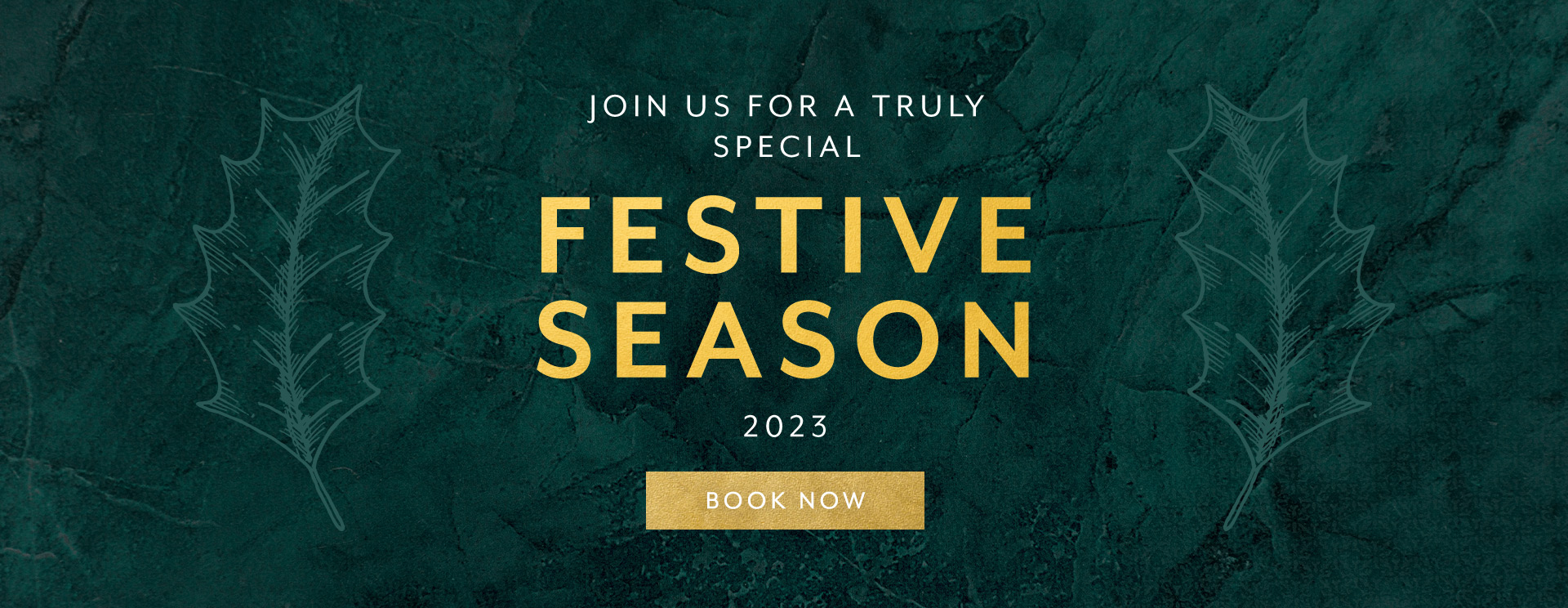 Christmas 2023 at Wolvercote