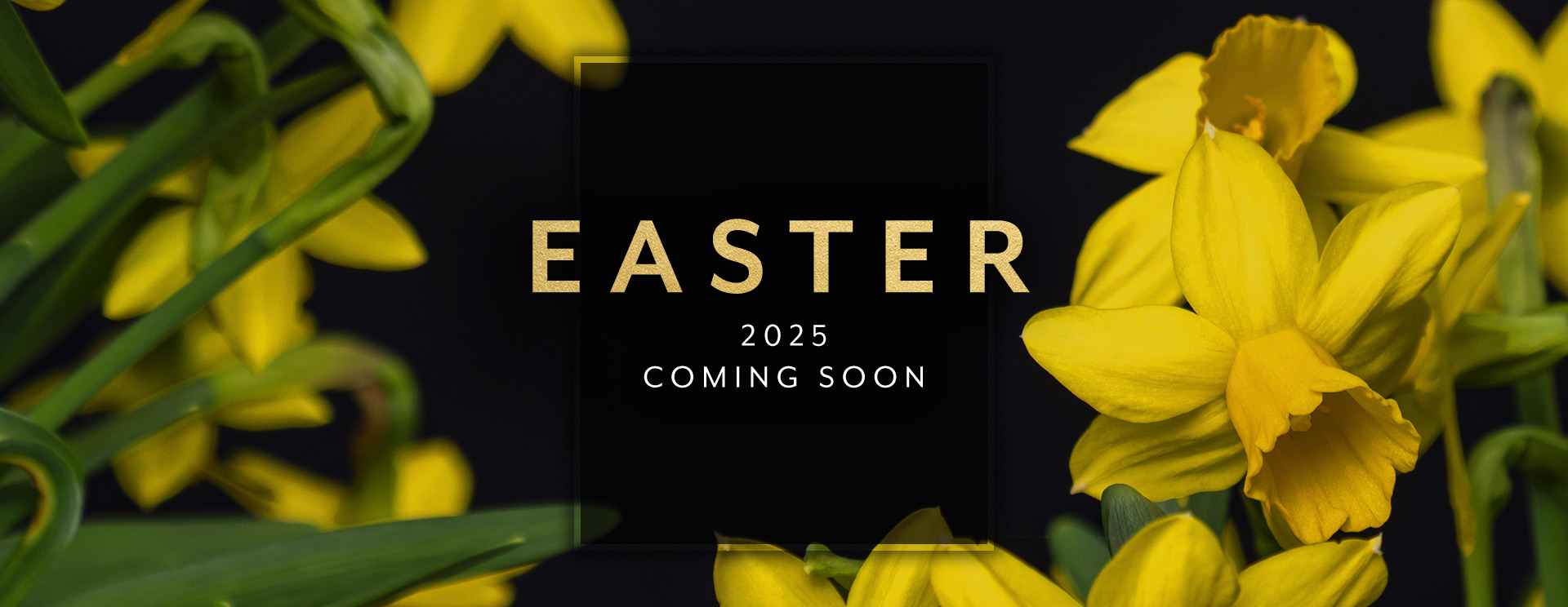 pcp-2025-easter-holding-banner.jpg