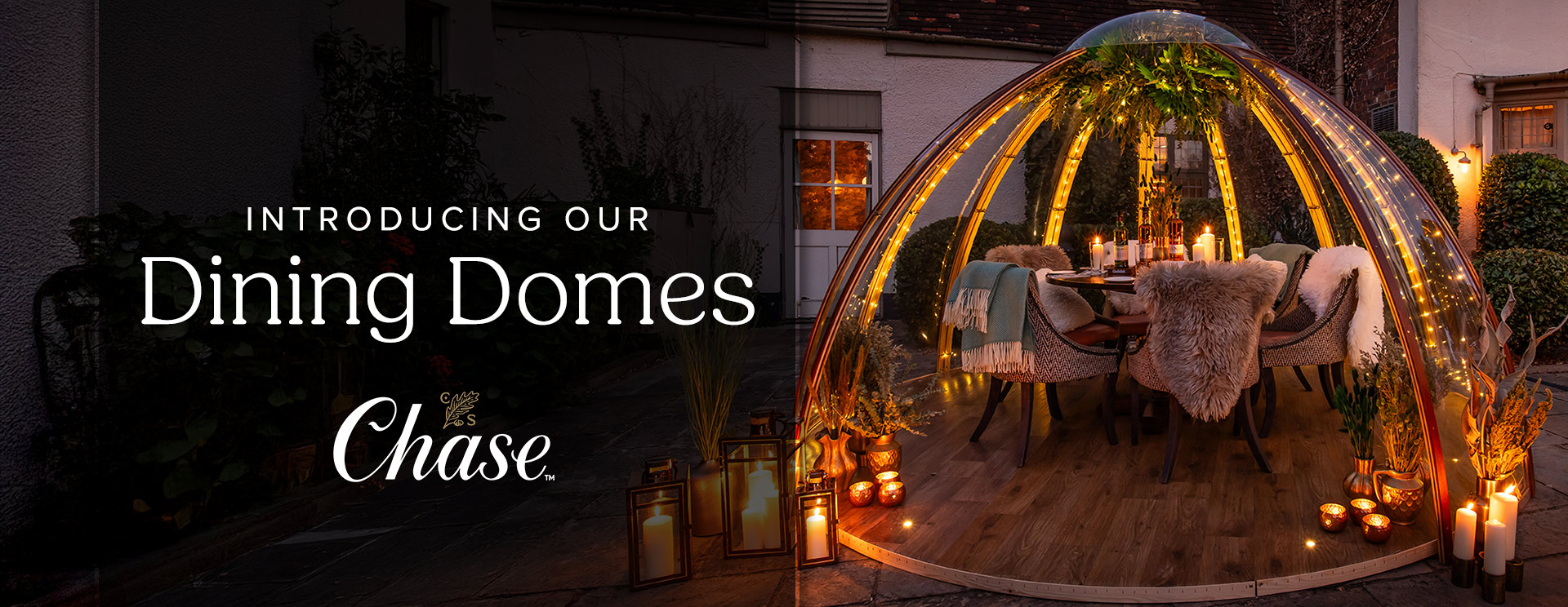 pcp-2024-domes-thetroutoxford-banner.jpg